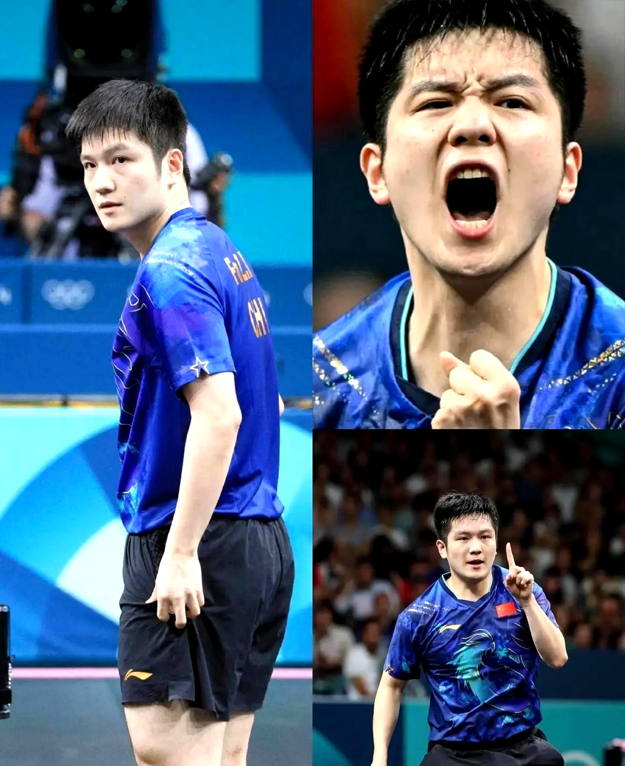 德国队逆转韩国队，樊振东状态火热